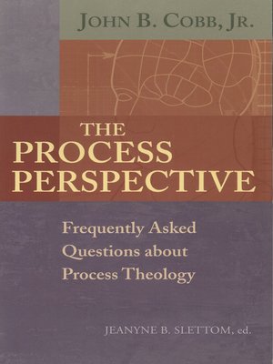 cover image of The Process Perspective